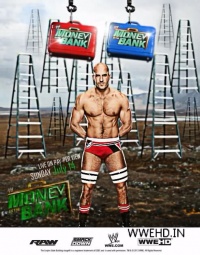 WWE Money In The Bank 2013 1